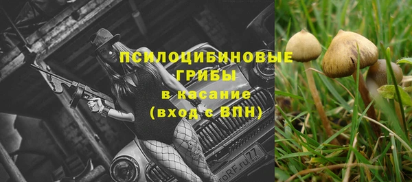 а пвп мука Нея