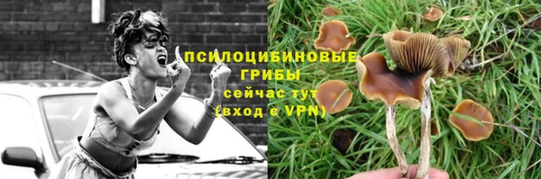 твердый Нефтегорск