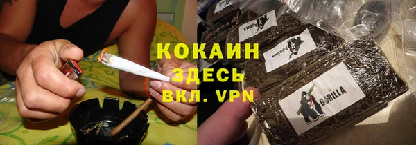 трава Новозыбков