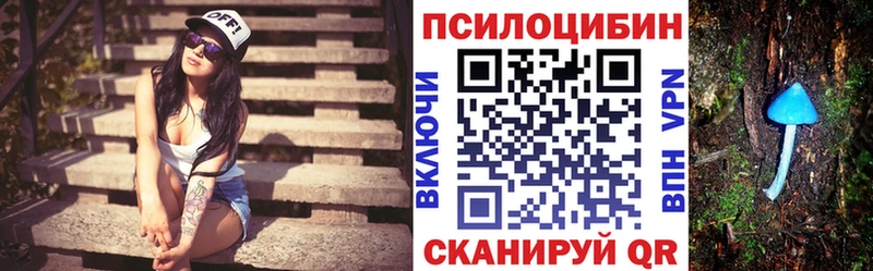 Псилоцибиновые грибы мицелий  Купить  Чёрмоз 